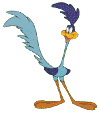 roadrunner